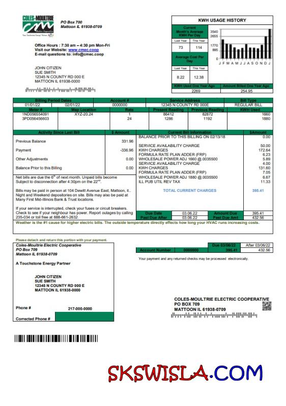 USA Coles-Moultrie rachunek za media szablon w formacie Word i PDF